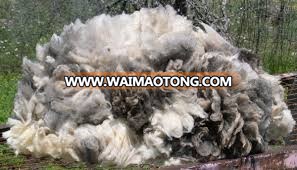 QUALITY RAW LAMB WOOL / LAMB WOOL / SCOURED SHEEP WOOL