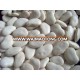 Large White Lima Beans