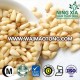 China New Crop Pure Red Pine Nuts shelled kernels 750 Top Quality