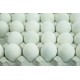 Fresh Table Eggs White 40g-50g-60g-65g-70g for sale