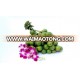 DRIED WHOLE BETEL NUT - WHITE COLOR - CHEAP PRICE