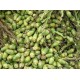 DRIED BETEL NUT HOT SALE, COMPETITIVE PRICE